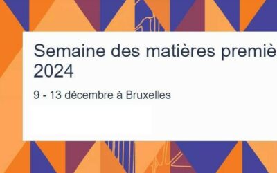 Commission Européenne – Métaux critiques et stratégiques – décembre 2024