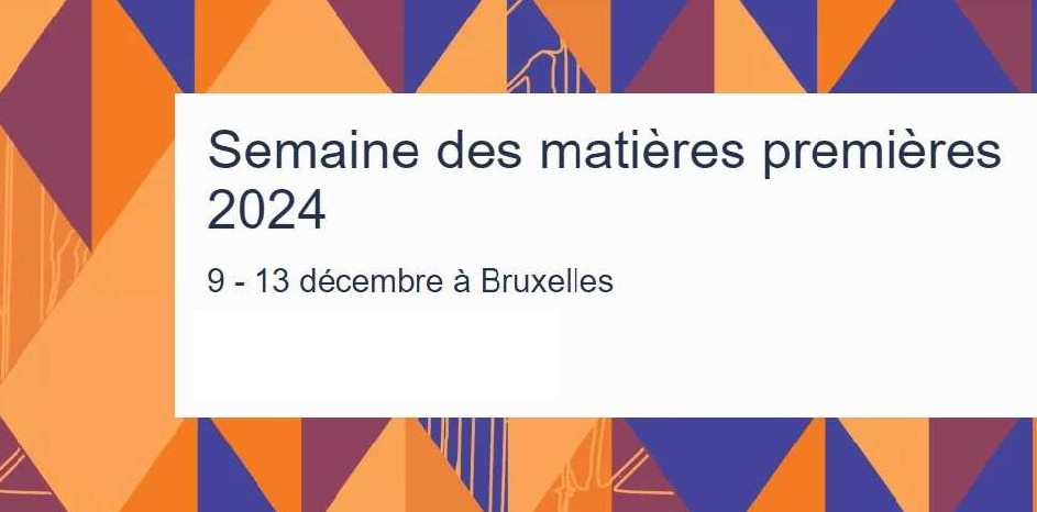 Commission Européenne – Métaux critiques et stratégiques – décembre 2024